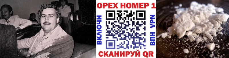 МЕГА как зайти  Норильск  Cocaine FishScale 
