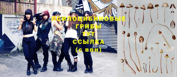 дмт Абдулино